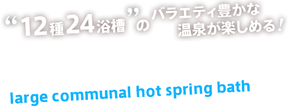 12種24浴槽のバラエティ豊かな温泉が楽しめる温泉大浴場パレス