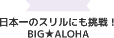 日本一のスリルに挑戦！BIG ALOHA