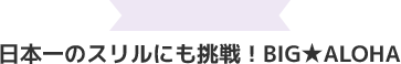 日本一のスリルに挑戦！BIG ALOHA