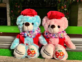 60周年ハワイアンズベア