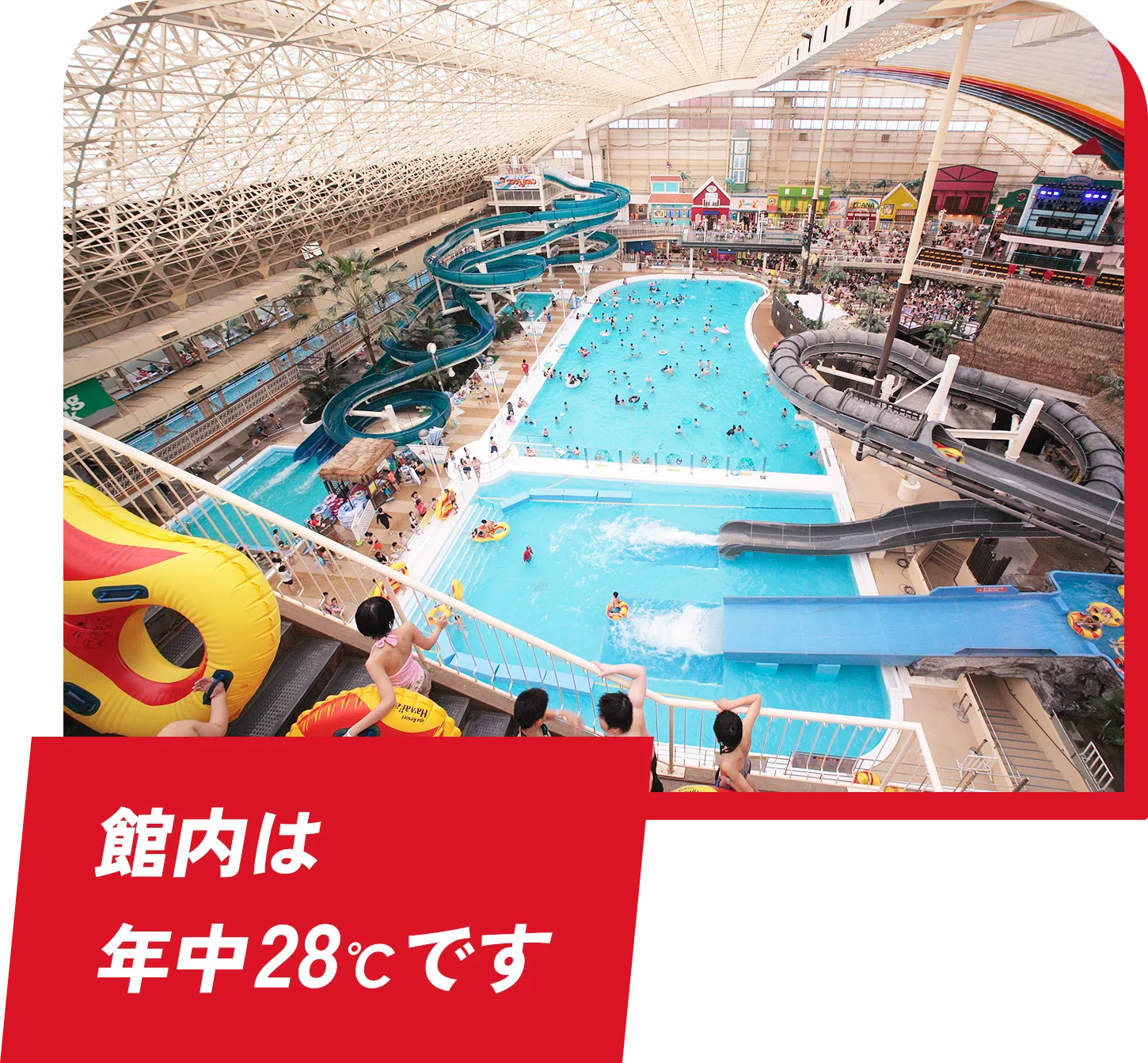 館内は年中28℃です