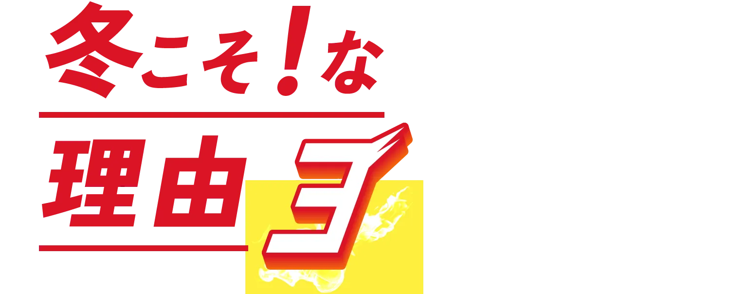 冬こそ！な理由3